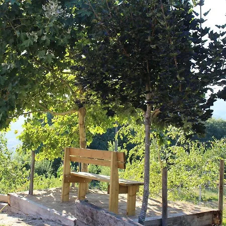 Casa De Joia Birdhouse